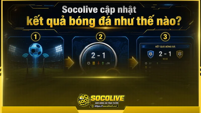 Socolivetv xây dựng hệ thống cập nhật dữ liệu ngay sau khi trận đấu kết thúc Socolivetv xây dựng hệ thống cập nhật dữ liệu ngay sau khi trận đấu kết thúc