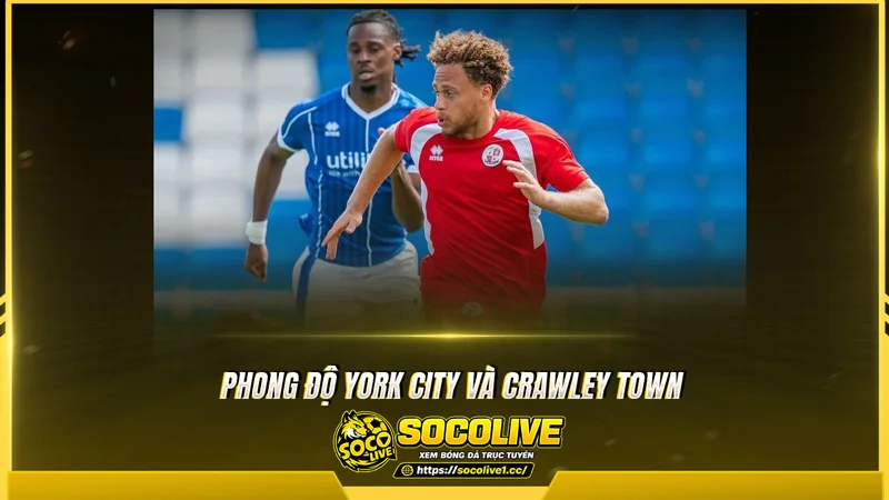 Phong độ York City và Crawley Town được Socolive TV tổng hợp Phong độ York City và Crawley Town được Socolive TV tổng hợp